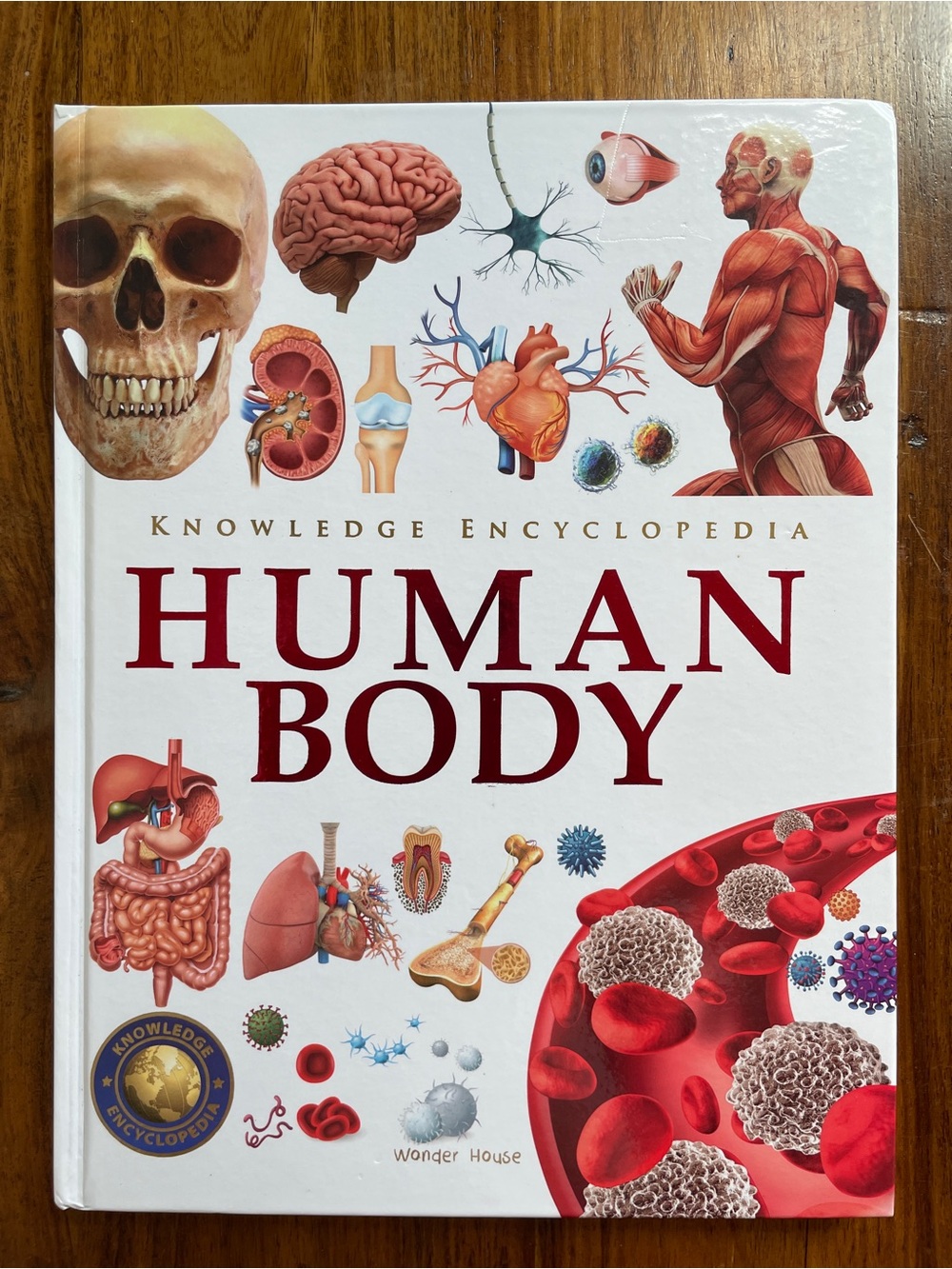 Wonder House Human Body Knowledge Encyclopedia